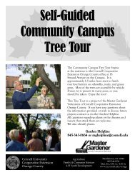 Self-Guided Community Campus Tree Tour - Cornell University