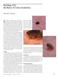 Bed Bugs 101: the Basics of Cimex lectularius. - Armed Forces Pest ...