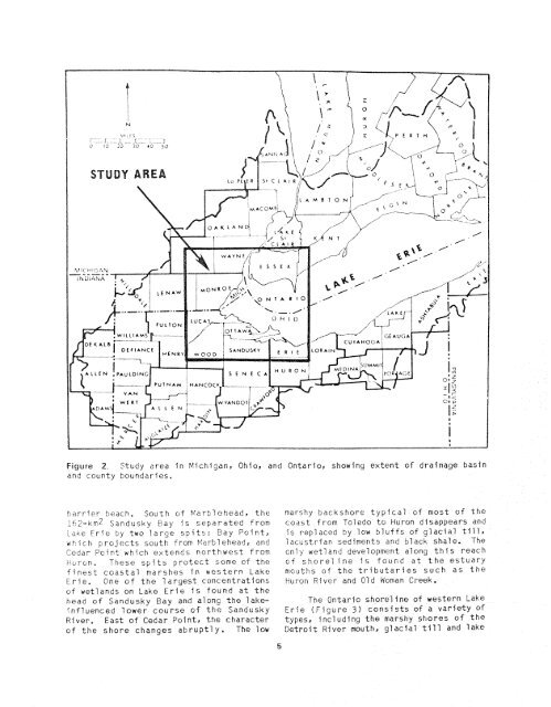 The Ecology of coastal Marshes of Western Lake Erie: A Community ...