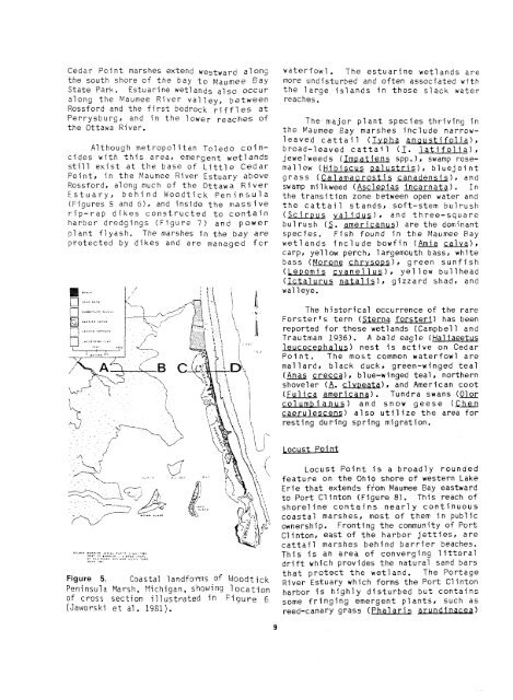 The Ecology of coastal Marshes of Western Lake Erie: A Community ...