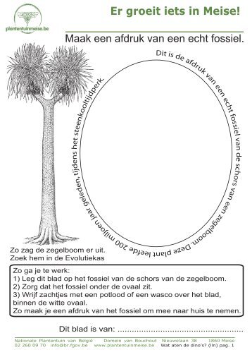 Werkbladen voor de leerlingen (PDF-bestand van 22.2 MB)