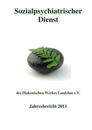 Download: SPDI Jahresbericht 2011 - Diakonie Landshut
