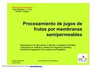 Procesamiento de jugos de frutas por membranas semipermeables