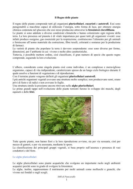 Il regno delle piante - Scuolapiancavallo.it