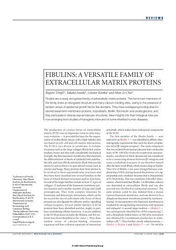 fibulins: a versatile family of extracellular matrix proteins