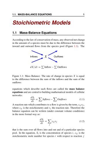 Stoichiometric Models