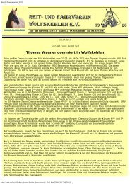 Thomas Wagner dominiert in Wolfskehlen - Reit- und Fahrverein ...