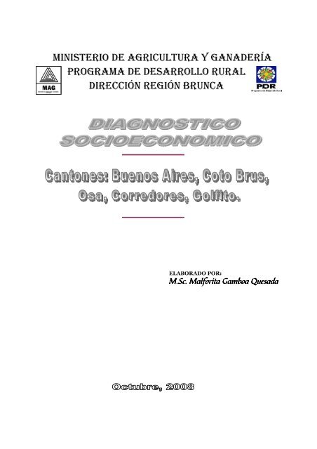 DIAGNOSTICO REGION SUR Territorios Centroamericanos New balance cm 997. talla 45'5 en España 【 ANUNCIOS Octubre