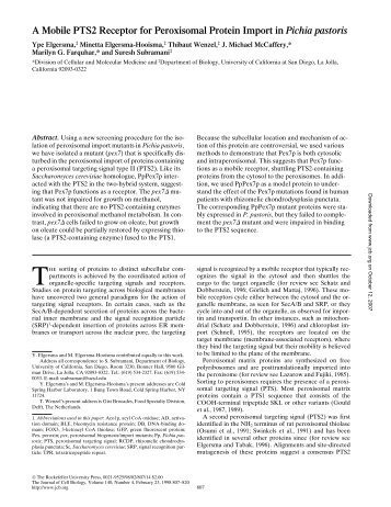 A Mobile PTS2 Receptor for Peroxisomal Protein Import in Pichia ...