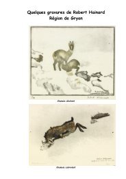 Quelques gravures de Robert Hainard Région de Gryon - Fondation ...