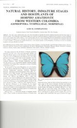 natural history, immature stages and hostplants of morpho ...
