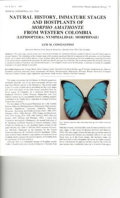 natural history, immature stages and hostplants of morpho ...