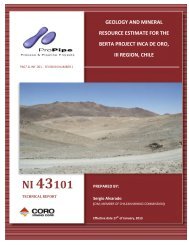 NI 43101 - CORO Mining Corp.