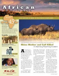 Rhino Mother and Calf Killed - African Wildlife