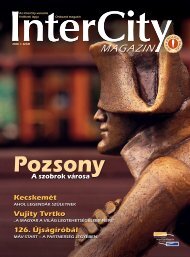 InterCity Magazin 2008/tavasz