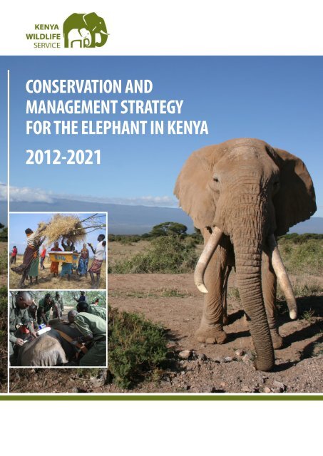 National Elephant Strategy - People's Trust for Endangered Species