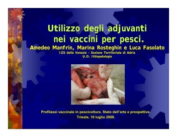 Utilizzo degli adjuvanti nei vaccini per pesci (pdf 943kb)