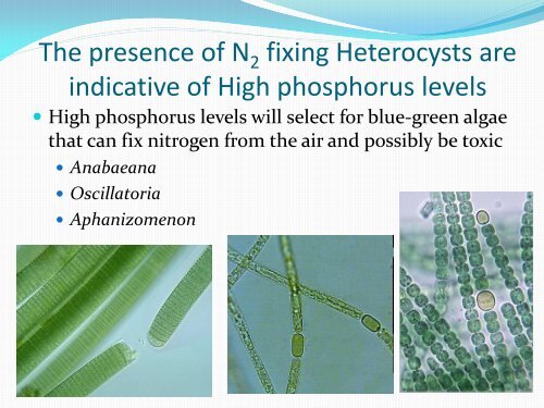 Chlorophyll-A Analysis - Ohio Water Environment Association