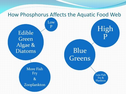 Chlorophyll-A Analysis - Ohio Water Environment Association