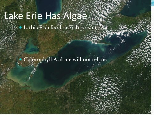 Chlorophyll-A Analysis - Ohio Water Environment Association