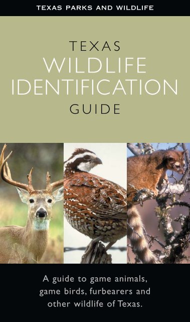 Texas Wildlife Identification Guide - Texas Parks & Wildlife Department Texas Wildlife Identification Guide - Texas Parks & Wildlife Department