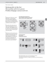 Strebenprofile mit 8er-Nut Strut profiles with 8 mm groove ProfilÃƒÂ©s d ...