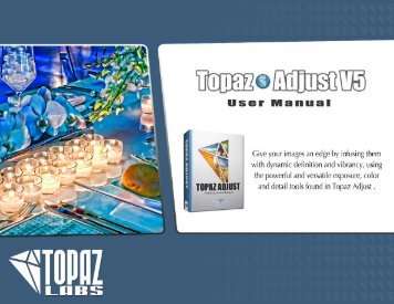 User Guide - Topaz Labs