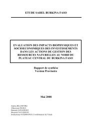 Etude Sahel au Burkina Faso - Rapport de synthÃ¨se - CILSS