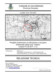 Relazione progetto preliminare - Comune di Gavorrano