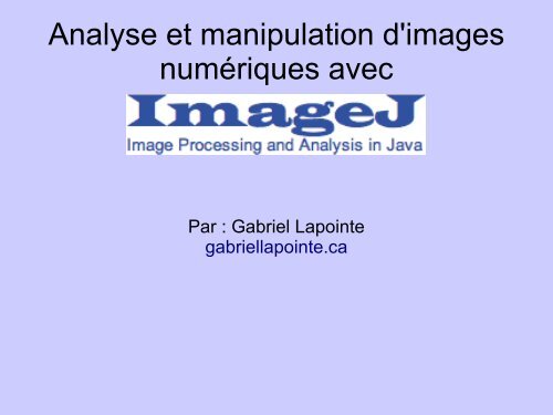 Analyse d'image numérique avec Imagej - Gabriel Lapointe