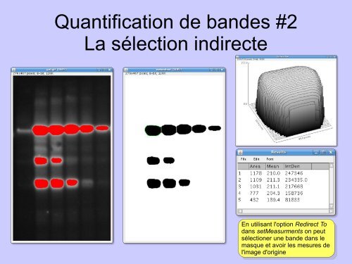 Analyse d'image numérique avec Imagej - Gabriel Lapointe