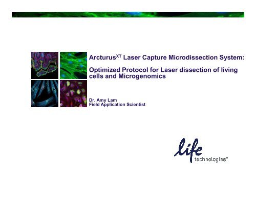Arcturus laser capture microdissection system user manual for self testing