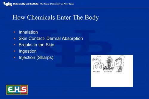 2013 Lab Safety Presentation - Chemical and Biological Engineering