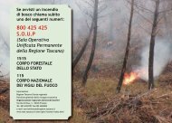 Brochure prevenzione incendi - Parco Naturale di Migliarino San ...