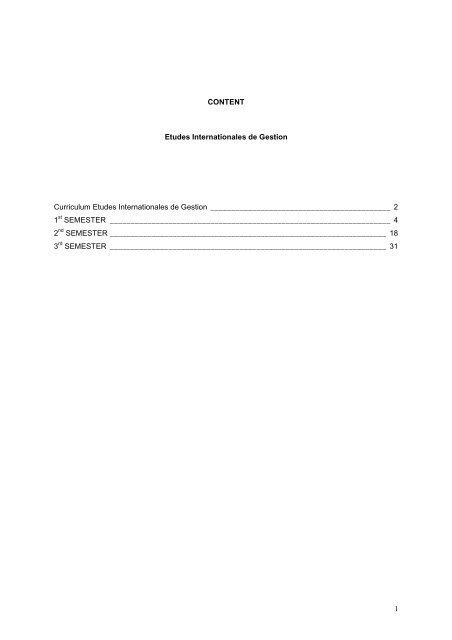 Curriculum Etudes Internationales de Gestion