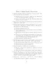 Tarea 1: Algebra Lineal y Proyecciones