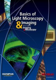 Basics of Light Microscopy Imaging - Wellcome Trust Centre for ...
