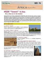 Niger. Ruta de la Sal - Bidon 5