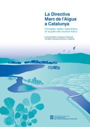 La Directiva Marc de l'Aigua a Catalunya. Conceptes, reptes i ...