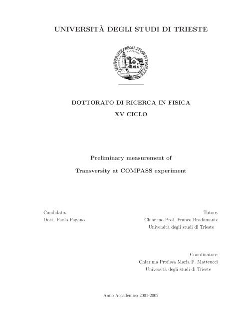 Conservation Treatment Report Trieste