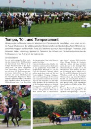 Ausgabe 31 - Stallgefluester