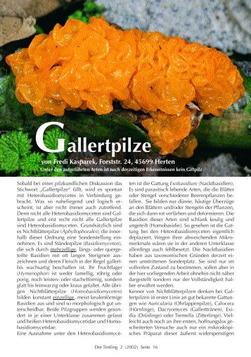 Gallertpilze - Tintling