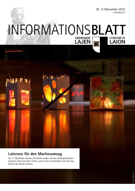 Informationsblatt 11/2010 (1,22 MB)