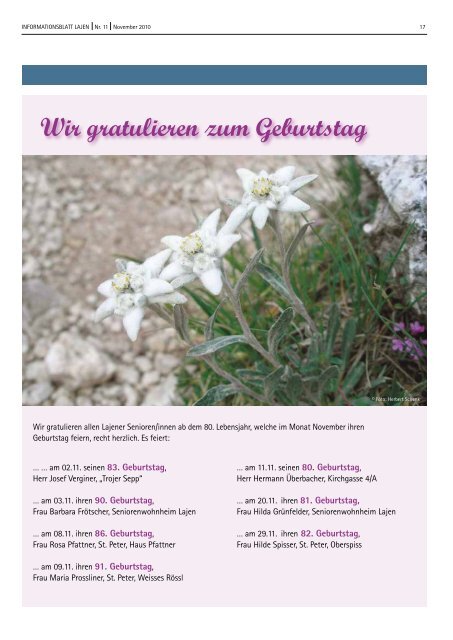 Informationsblatt 11/2010 (1,22 MB)