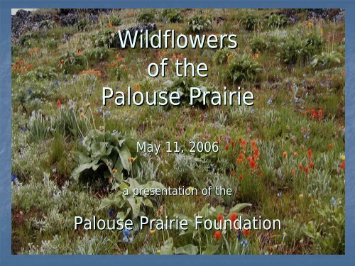 Wildflowers of the Palouse Prairie - Palouse Prairie Foundation