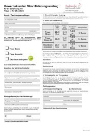 Stromvertrag SWBH Stand 23012012 Gewerbe - Stadtwerke Bad ...