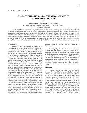 Characterization and Activation Studies on Azad Kashmir Clays