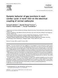 Dynamic behavior of gap junctions in each cardiac cycle: A novel ...