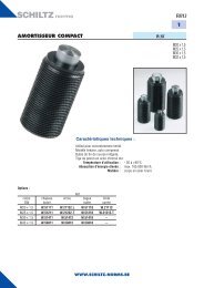 0313 - amortisseur de choc compact - Schiltz-norms