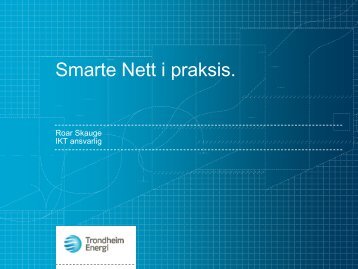 Smarte Nett i praksis. - Energi Norge
